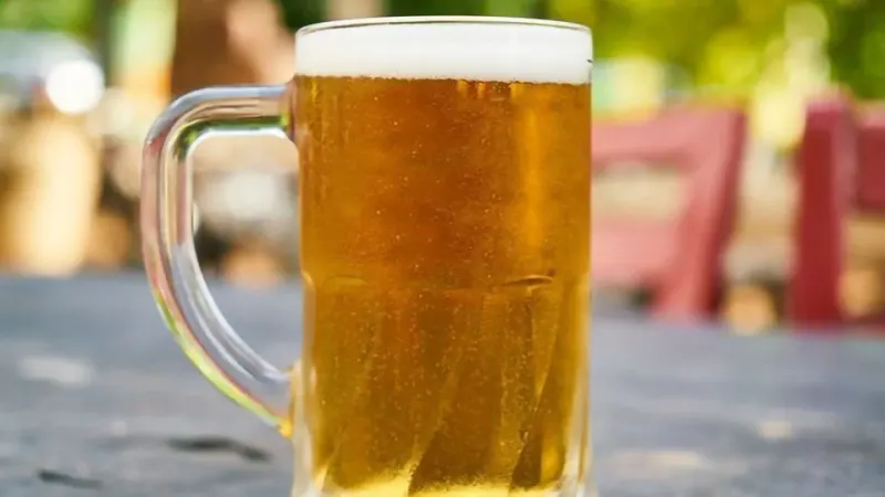 맥주 한 잔이 모기를 부른다, 여름밤 물림 위험 높이는 뜻밖의 습관