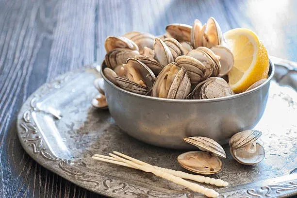 조개류와 해산물 섭취 전 확인 필요, 해양독소 식중독이 늘고 있다
