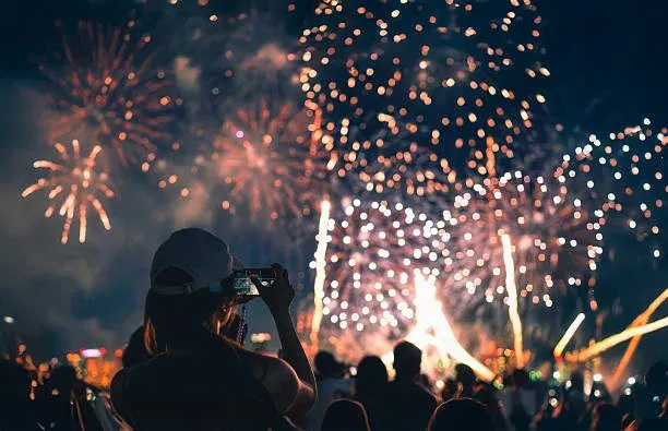 제목 여름 축제와 폭죽 소리, 반려견 불안 반응 미리 대비해야