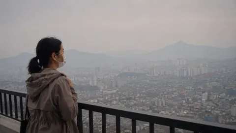 멀리 떨어진 산불 연기도 건강 위협, 미세입자가 심장과 뇌까지 영향을 준다