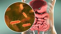 복부 팽만과 잦은 가스 반복된다면 ‘소장세균과다증식’ 살펴봐야