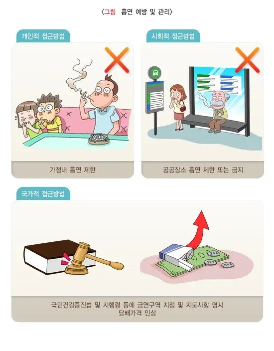 간접흡연 예방 및 대처 설명 이미지 2