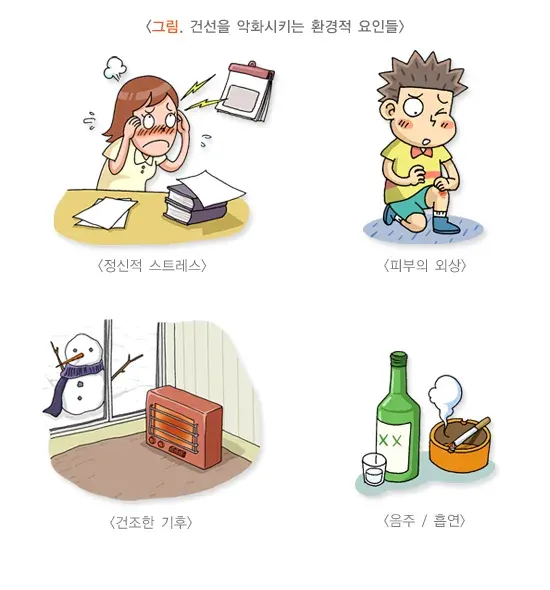 건선 대상별 맞춤 정보 설명 이미지 1