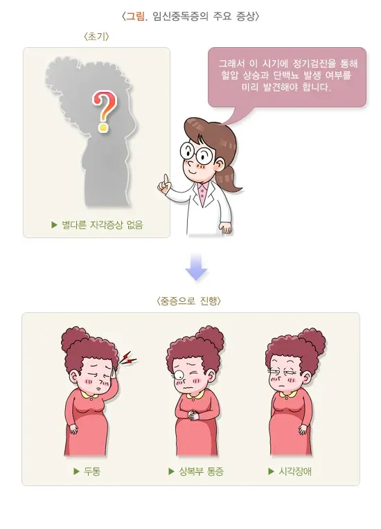 임신고혈압과 전자간증(임신중독증) 증상 설명 이미지 1