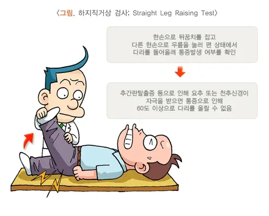추간판탈출증(디스크) 진단 및 검사 설명 이미지 1