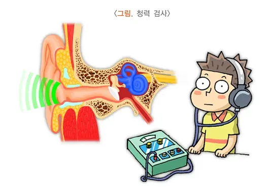중이염 진단 및 검사 설명 이미지 2