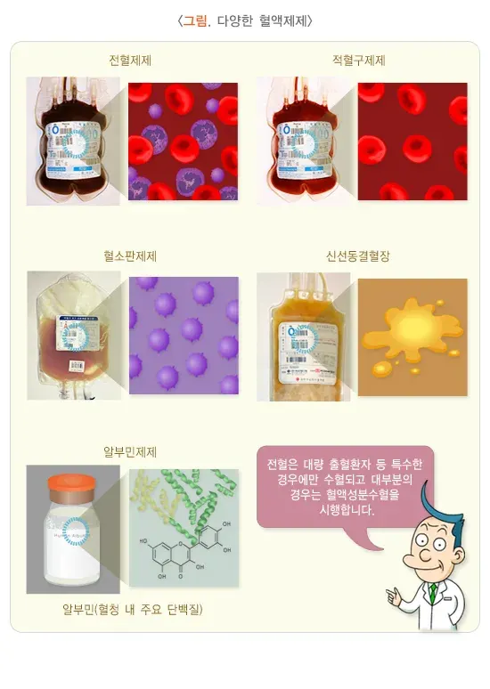 수혈 치료의 적응증 설명 이미지 1