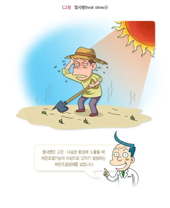 기후변화에 의한 폭염 건강문제 설명 이미지 1