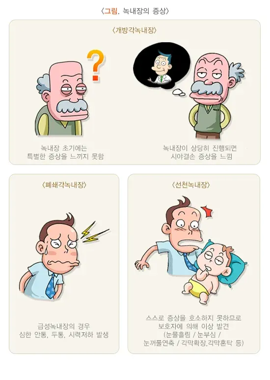 녹내장 증상 설명 이미지 2