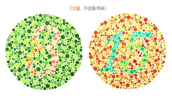 저시력 진단 및 검사 설명 이미지 3