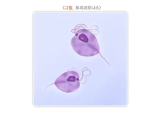 성매개감염병 원인 설명 이미지 2