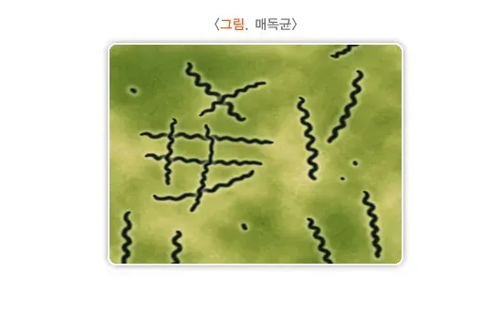 성매개감염병 원인 설명 이미지 1