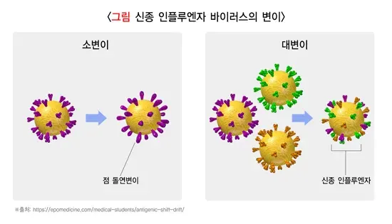인플루엔자 역학 및 통계 설명 이미지 1