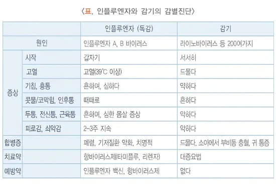인플루엔자 증상 설명 이미지 1