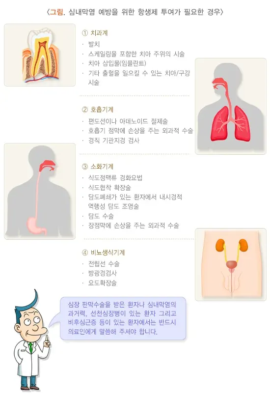 감염심내막염 위험요인 및 예방 설명 이미지 1