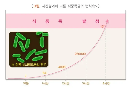 식중독 원인 설명 이미지 3
