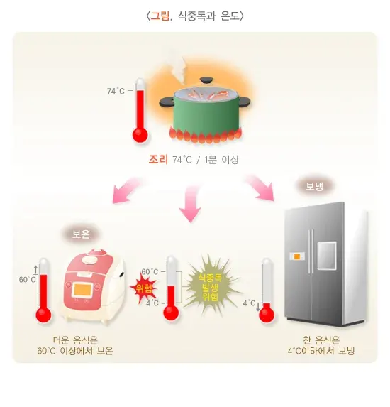 식중독 원인 설명 이미지 2