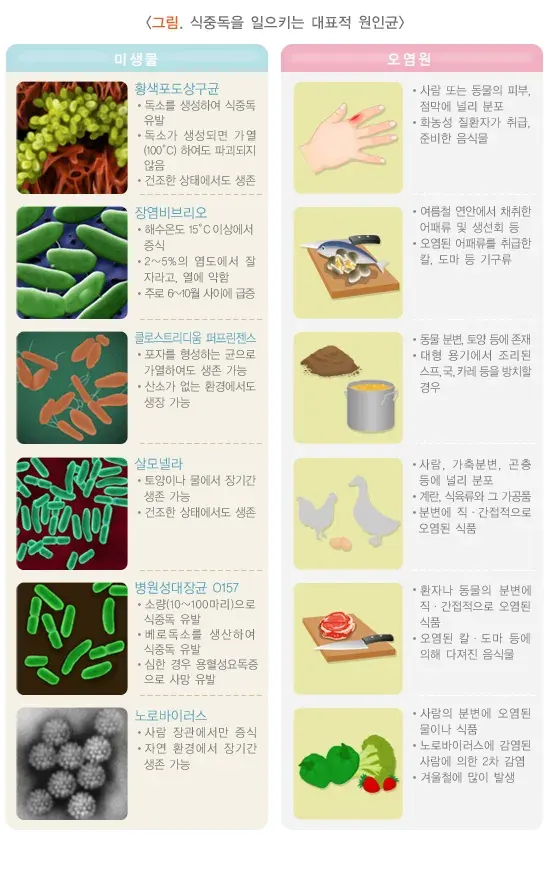 식중독 원인 설명 이미지 5