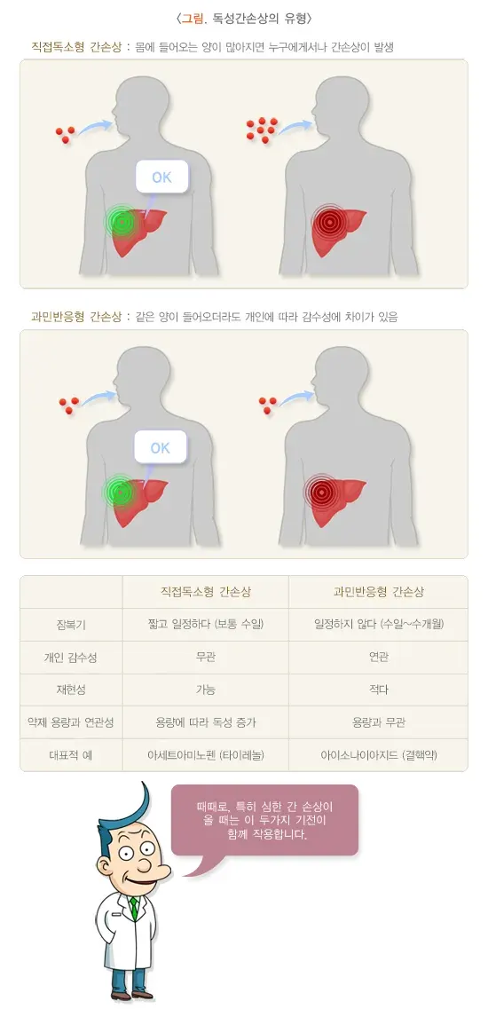 독성 간 손상 원인 설명 이미지 1