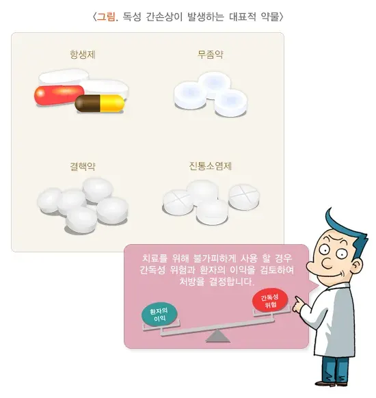 독성 간 손상 원인 설명 이미지 2