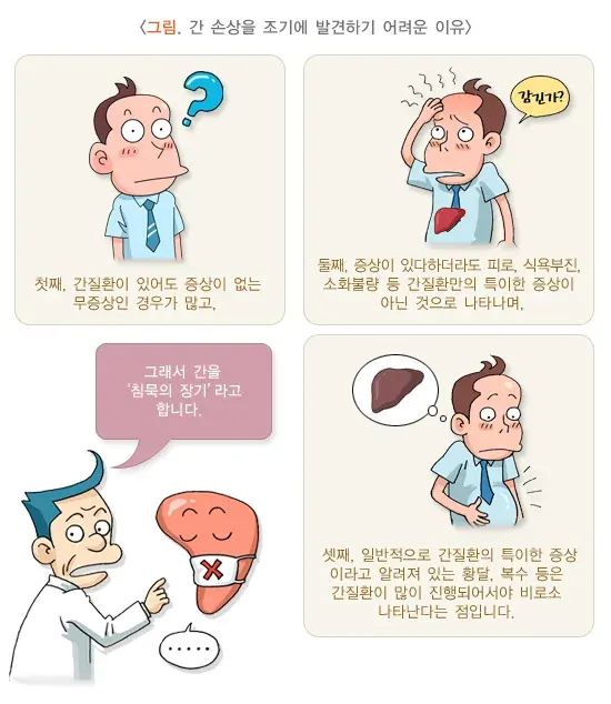 독성 간 손상 진단 및 검사 설명 이미지 1