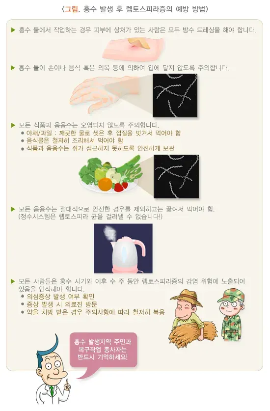 렙토스피라증 위험요인 및 예방 설명 이미지 2