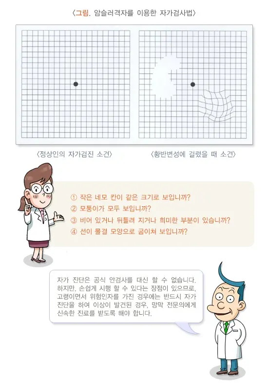 황반변성 진단 및 검사 설명 이미지 3