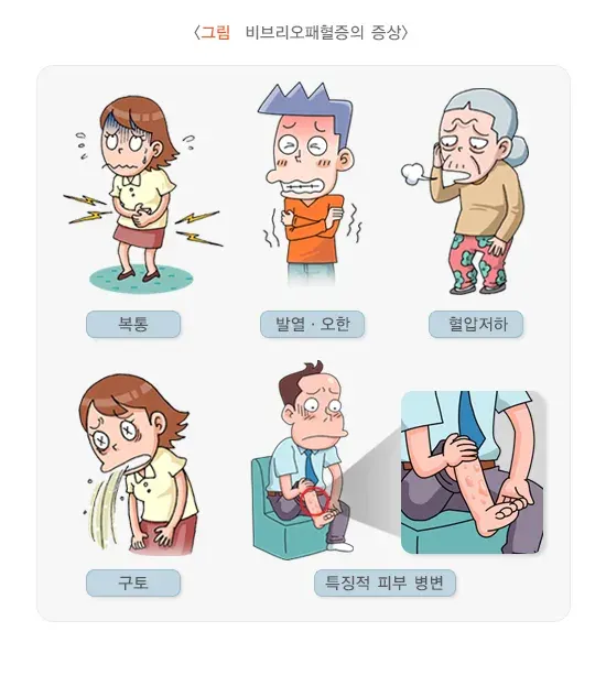 비브리오 패혈증 증상 설명 이미지 1