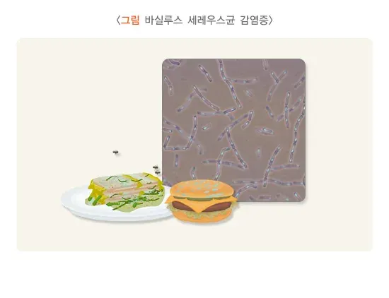 급성 세균성 장염 증상 설명 이미지 11