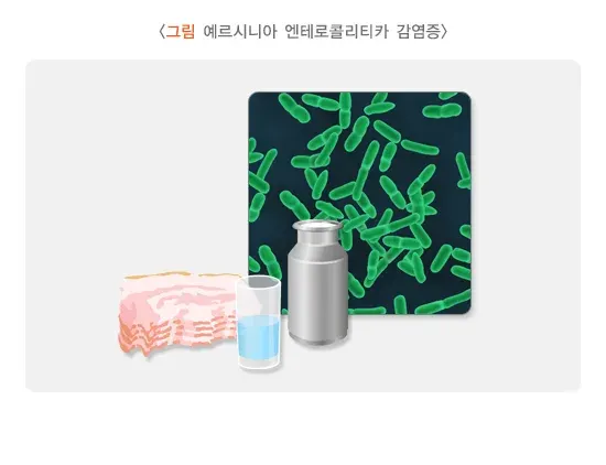 급성 세균성 장염 증상 설명 이미지 12