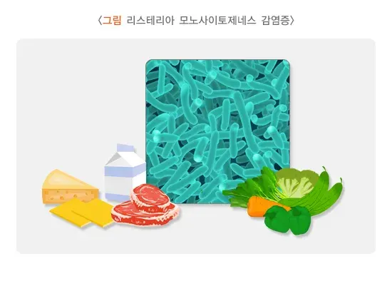 급성 세균성 장염 증상 설명 이미지 13