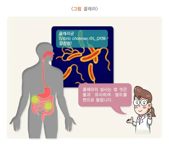 급성 세균성 장염 증상 설명 이미지 1