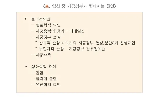자연유산 원인 설명 이미지 4
