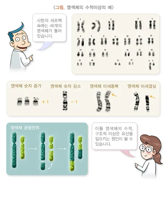 자연유산 원인 설명 이미지 2
