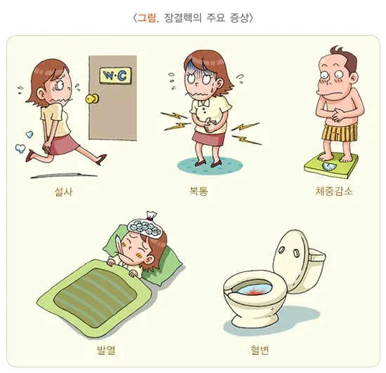 장결핵 증상 설명 이미지 1