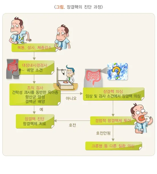 장결핵 진단 및 검사 설명 이미지 6