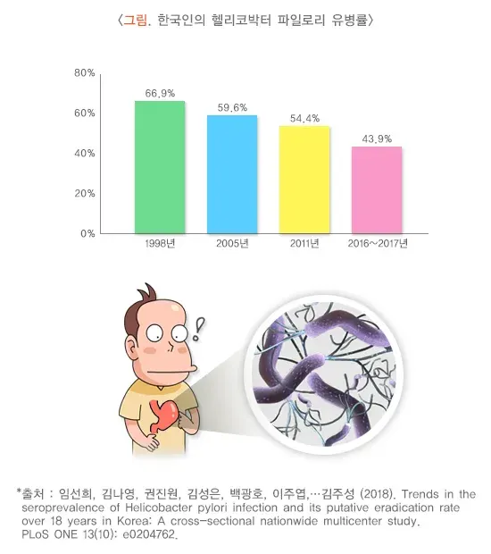 위십이지장 궤양 원인 설명 이미지 1