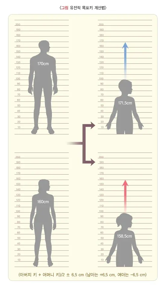 저신장 진단 및 검사 설명 이미지 2