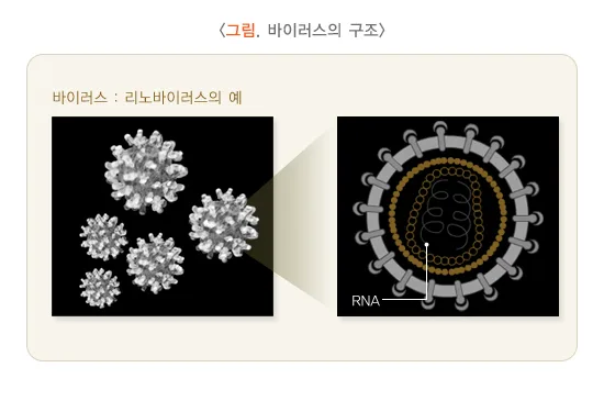 감기 원인 설명 이미지 1