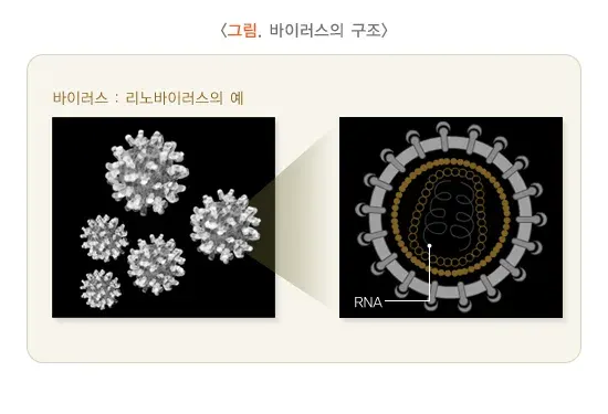 감기 원인 설명 이미지 1