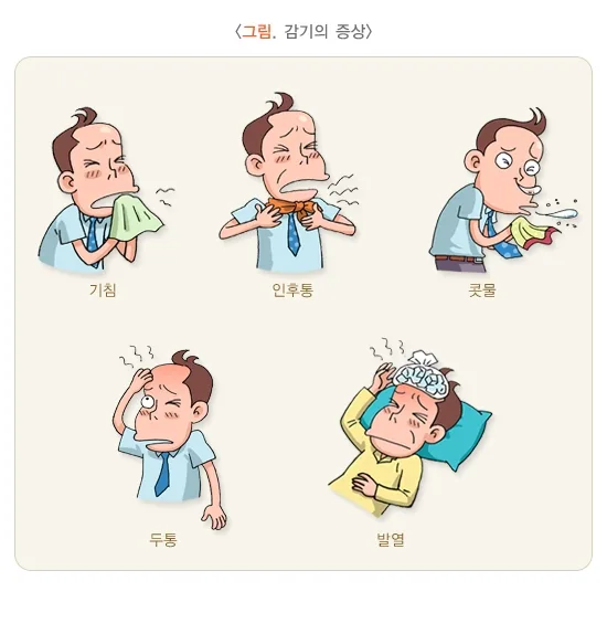 감기 증상 설명 이미지 1