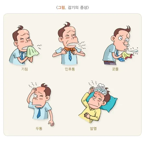 감기 증상 설명 이미지 1
