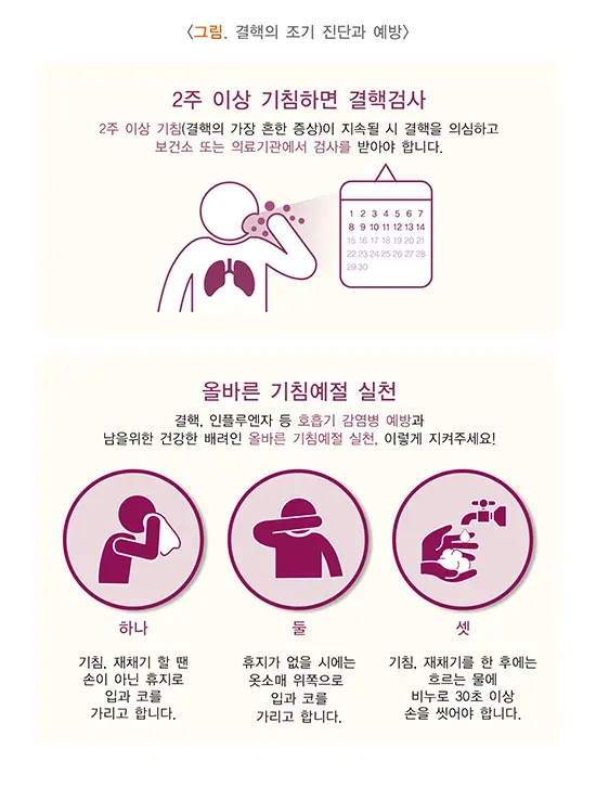결핵 예방 및 예방접종 설명 이미지 1
