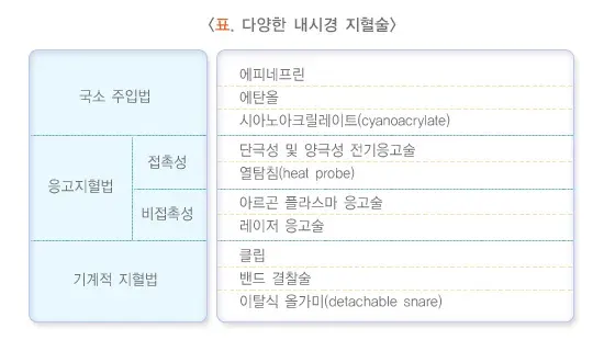 혈변 및 흑변(성인) 치료 설명 이미지 1