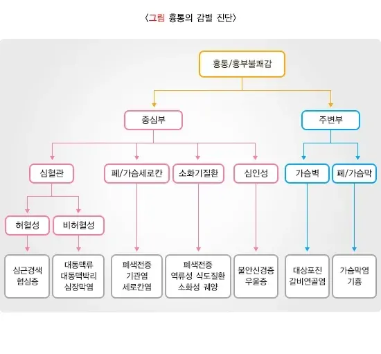 협심증 진단 및 검사 설명 이미지 1