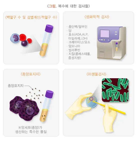 복수검사 검사 항목 설명 이미지 1