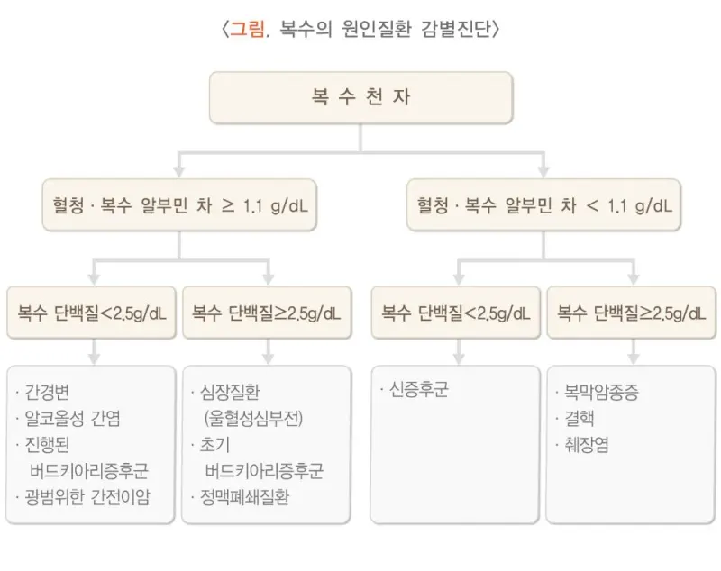 복수검사 검사 결과 해석 설명 이미지 1