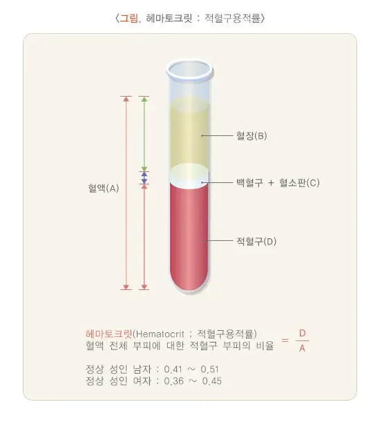총혈구검사 검사 결과 해석 설명 이미지 2