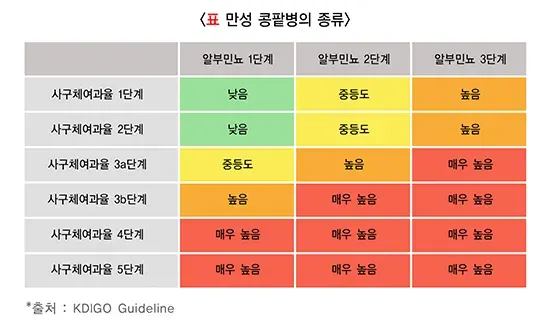 만성콩팥병 종류 설명 이미지 1