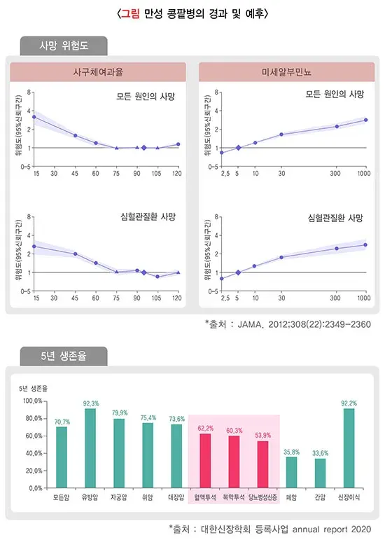 만성콩팥병 경과 및 예후 설명 이미지 1